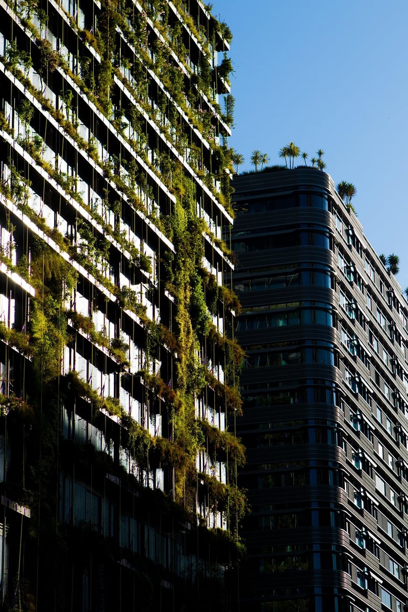 Sustainable Designer